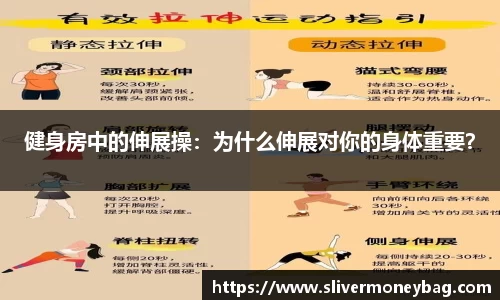 完美体育365平台官网